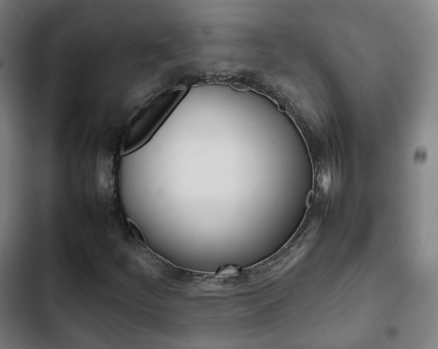 X0000103411252200809120940