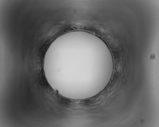 X0000103411253200809120940
