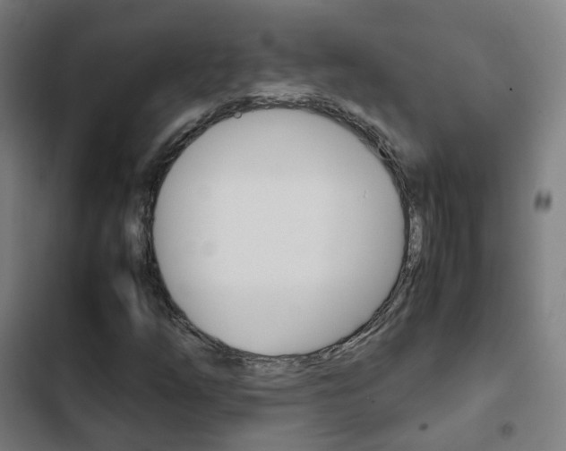 X0000103411254200809120940