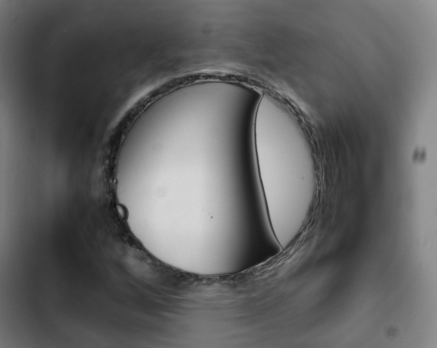 X0000103411256200809120940