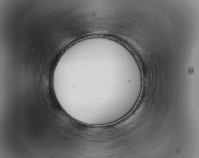X0000103411257200809120940