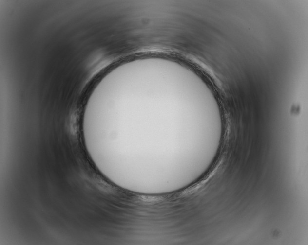 X0000103411258200809120940