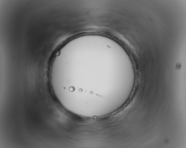 X0000103411259200809120940