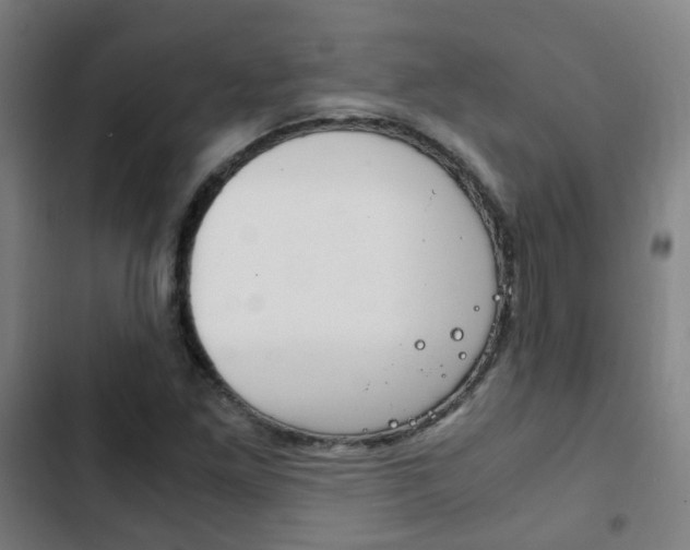 X0000103411261200809120940