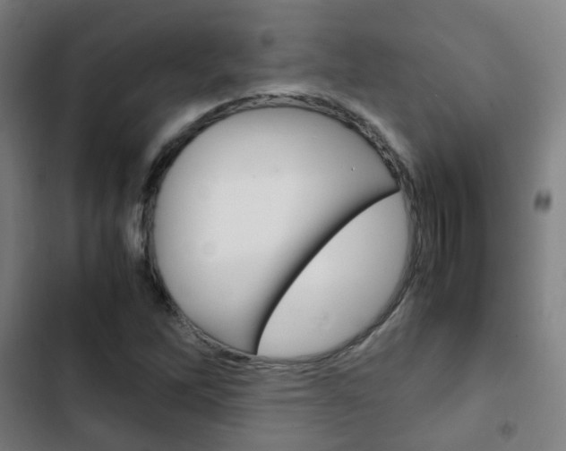 X0000103411262200809120940