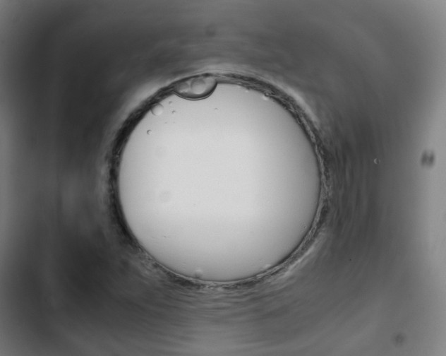 X0000103411263200809120940