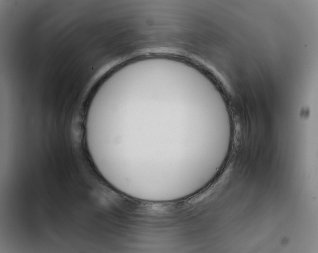 X0000103411266200809120940