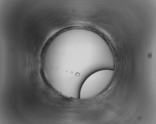 X0000103411267200809120940