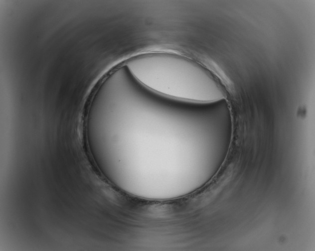 X0000103411268200809120939