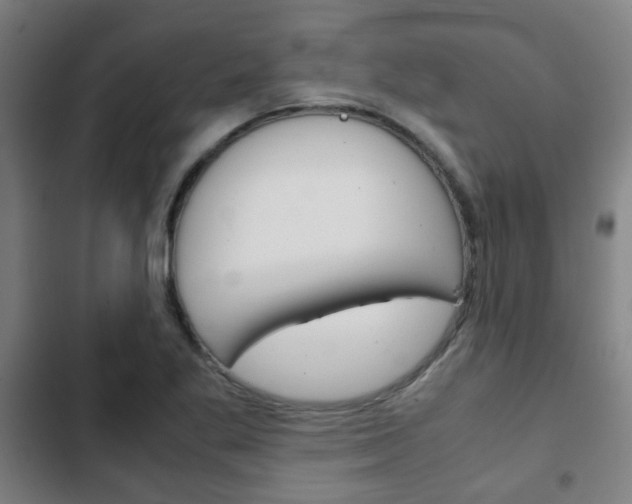 X0000103411269200809120939