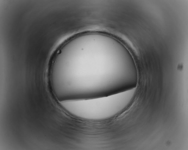 X0000103411270200809120939