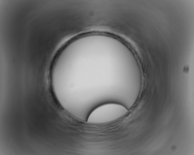 X0000103411271200809120939