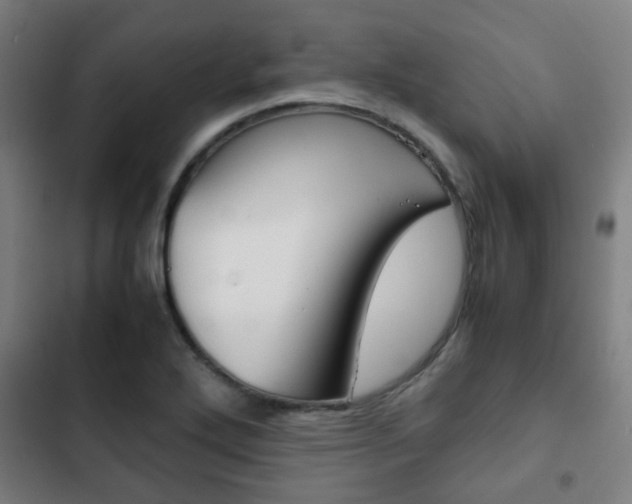 X0000103411272200809120939