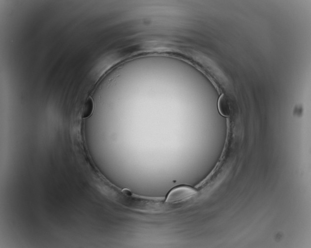 X0000103411273200809120939