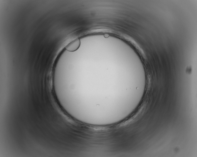 X0000103411274200809120939