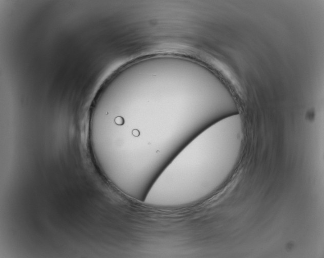 X0000103411275200809120939