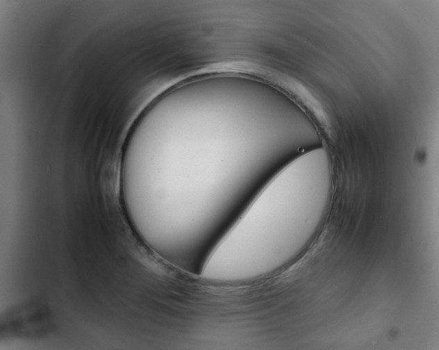 X0000103411276200809120939