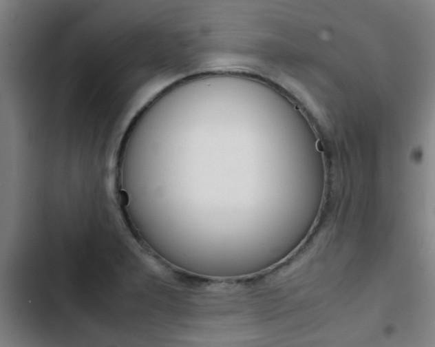 X0000103411277200809120939