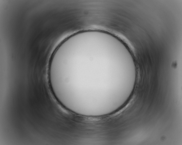 X0000103411278200809120939