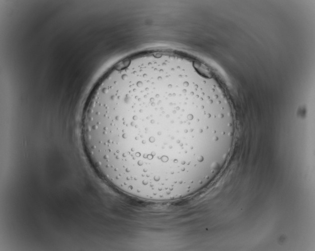 X0000103411279200809120939