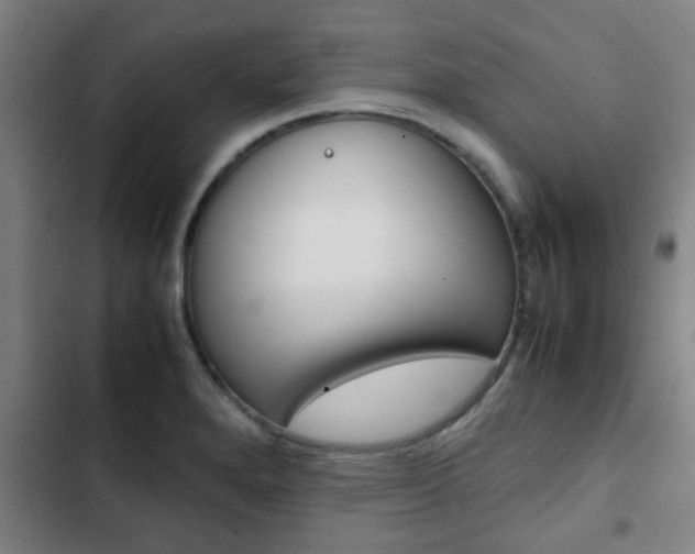 X0000103411280200809120939