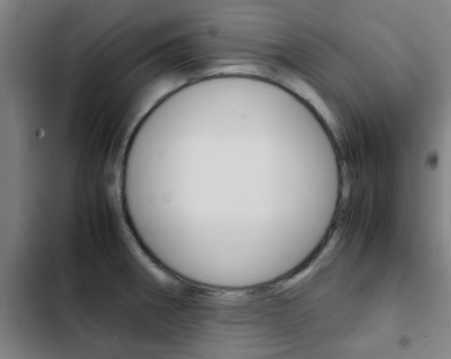 X0000103411282200809120939