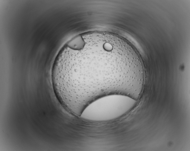 X0000103411283200809120939