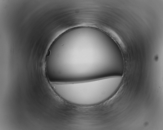X0000103411284200809120939