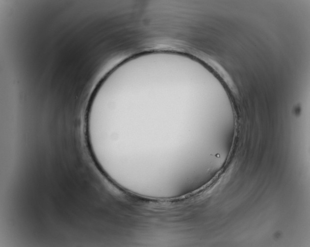 X0000103411285200809120939