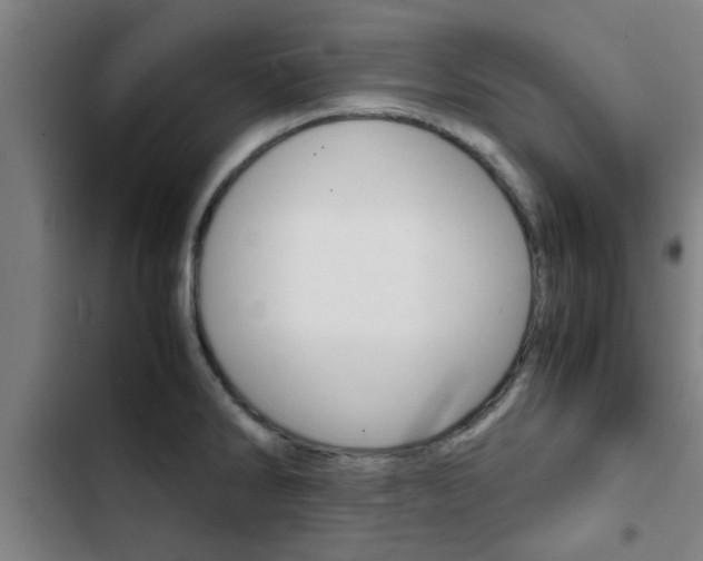 X0000103411286200809120939