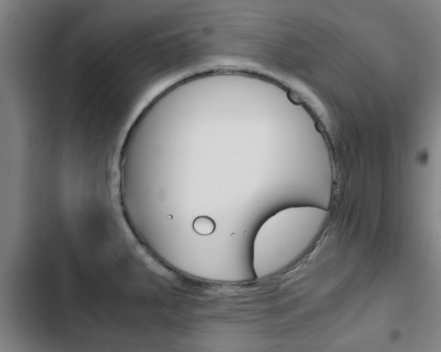 X0000103411287200809120939