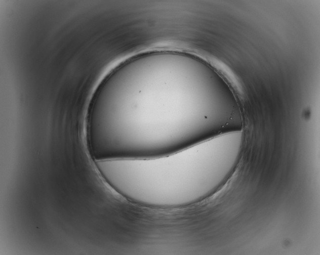 X0000103411288200809120939