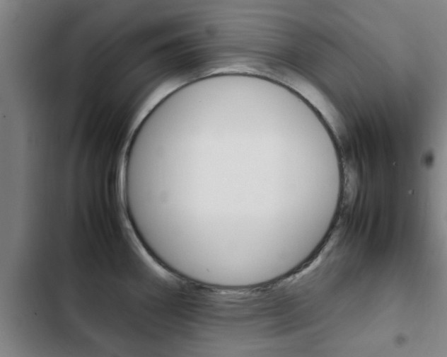 X0000103411290200809120939