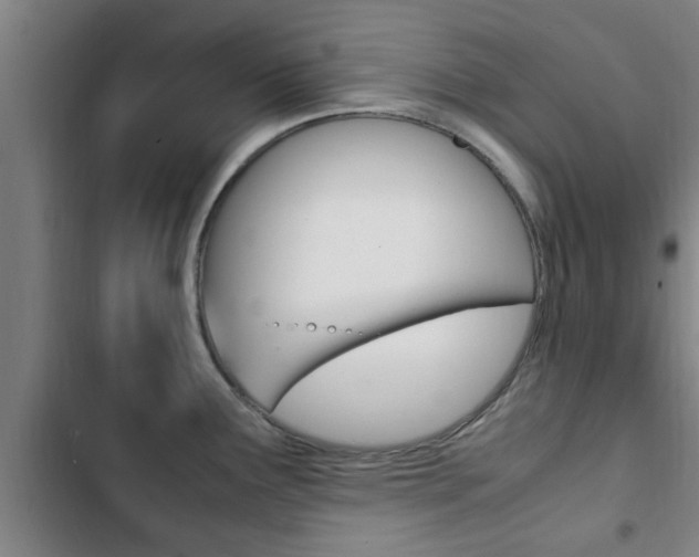 X0000103411291200809120939