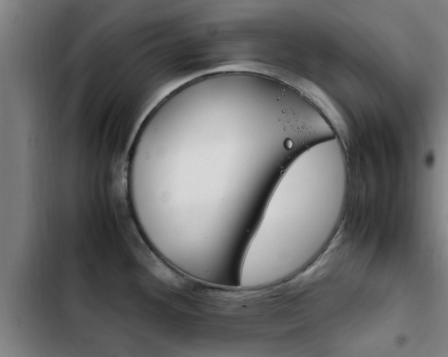 X0000103411292200809120939