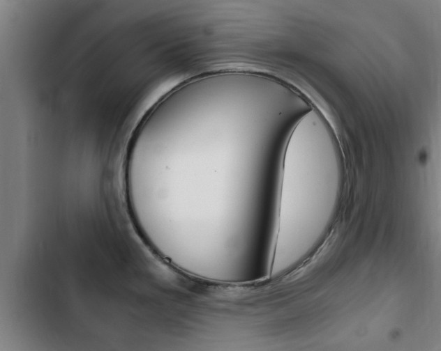 X0000103411293200809120939