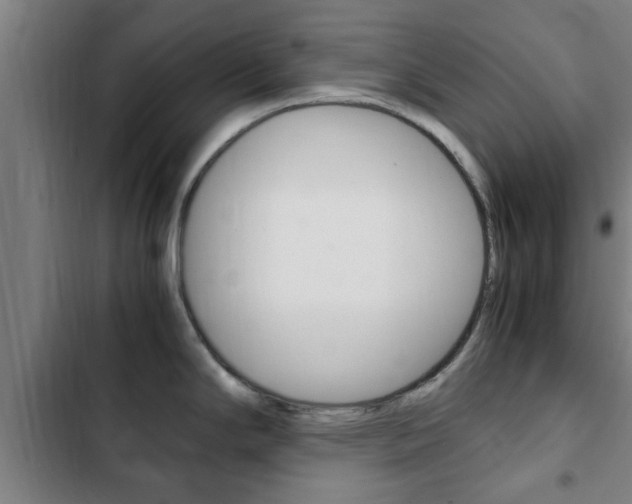 X0000103411294200809120939