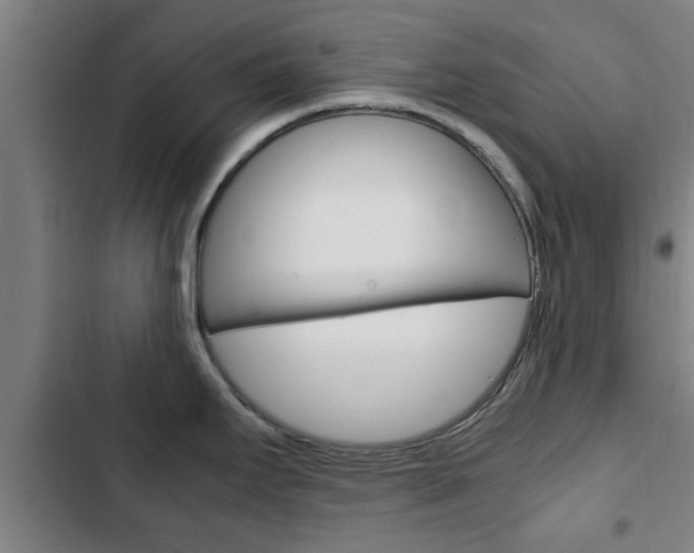 X0000103411295200809120939