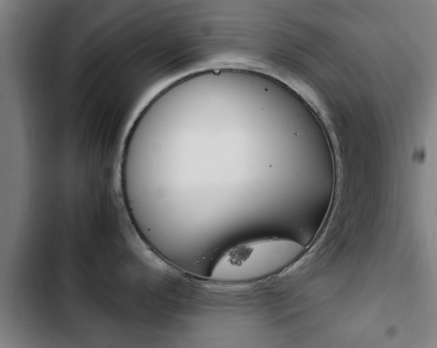X0000103411296200809120939