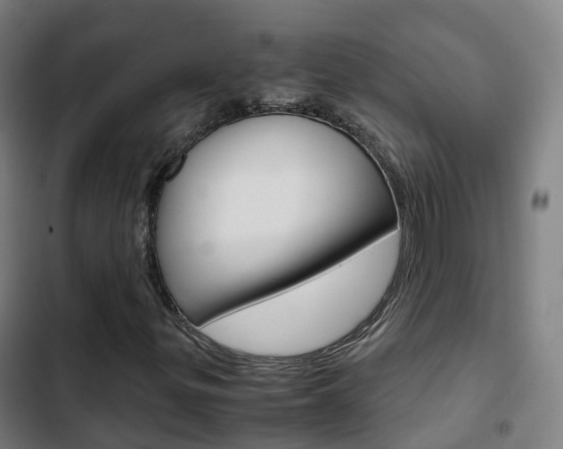 X0000103411299200809120938