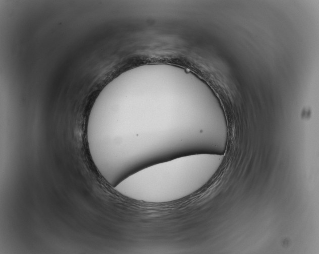 X0000103411300200809120938