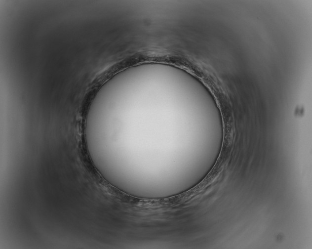 X0000103411301200809120938