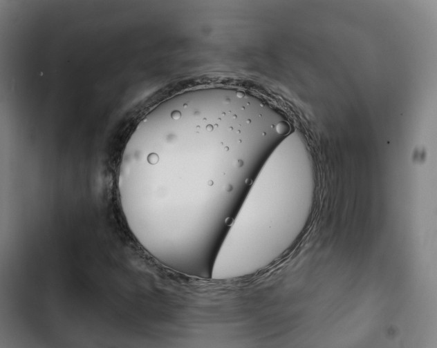 X0000103411302200809120938