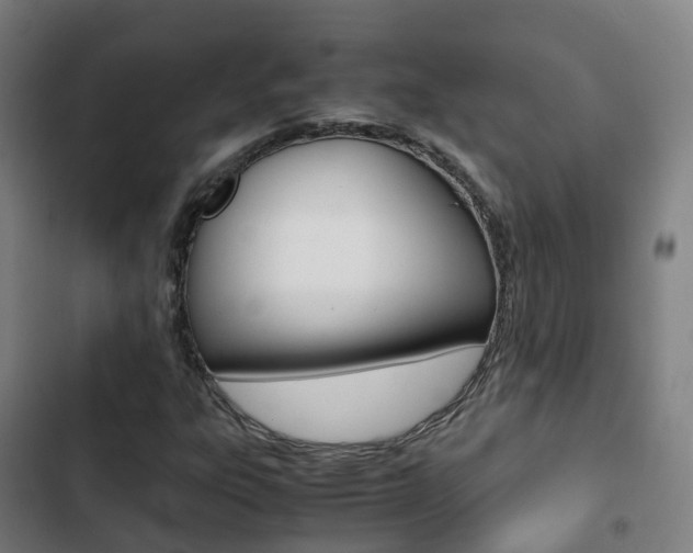 X0000103411303200809120938
