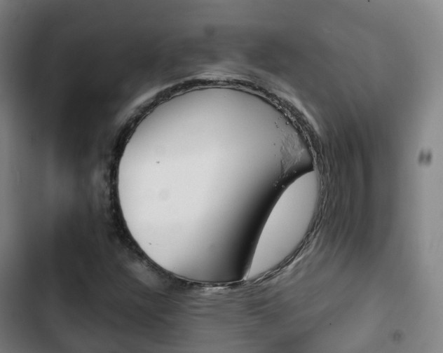 X0000103411304200809120938