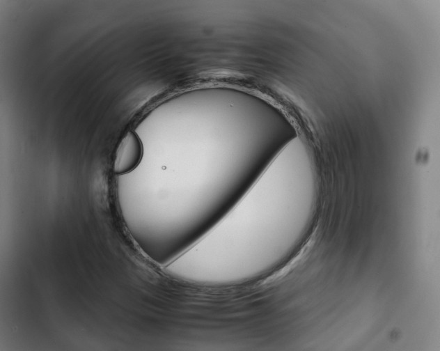 X0000103411305200809120938