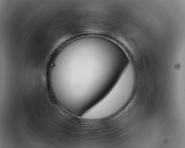 X0000103411307200809120938