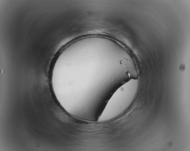 X0000103411308200809120938