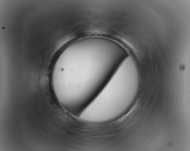 X0000103411309200809120938