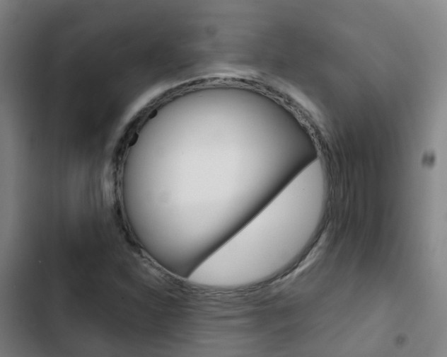 X0000103411310200809120938
